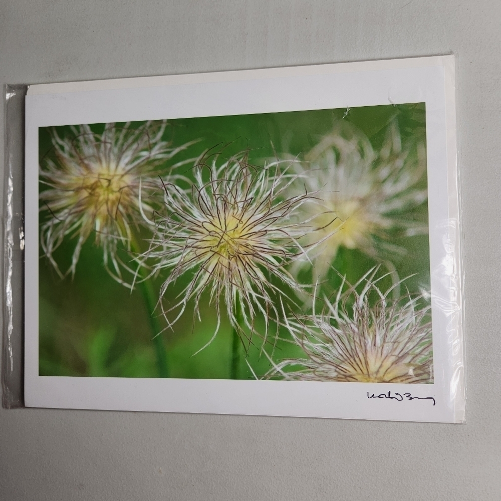 Korbin Berg Mount Horeb, WI Fine Art Photographer/Nature Print